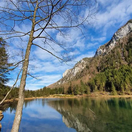 Berglueck Inzell