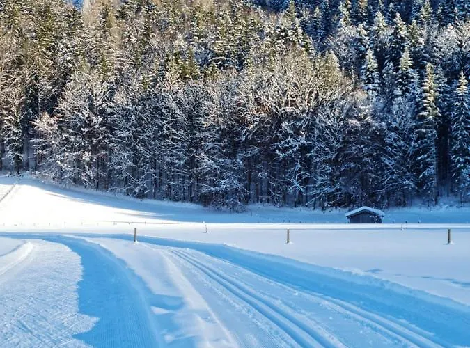 Berglueck * Inzell